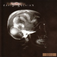 Godman mp3 Album by David Sylvian
