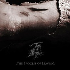The Process Of Leaving mp3 Album by Tunes Of Despair