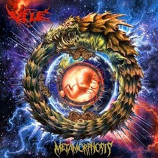 Metamorphosis mp3 Album by Vile