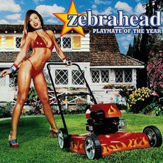 Playmate of the Year mp3 Album by Zebrahead