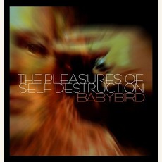 The Pleasures Of Self Destruction mp3 Album by Babybird