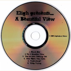 A Beautiful VIew mp3 Album by Eligh
