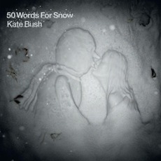 50 Words For Snow mp3 Album by Kate Bush
