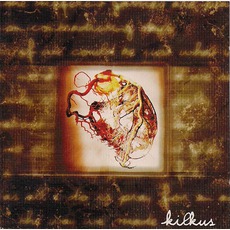 The Pattern Of Self Design mp3 Album by Kilkus