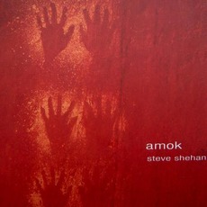 AMOK mp3 Album by Steve Shehan