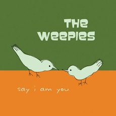 Say I Am You mp3 Album by The Weepies