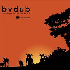 Strength In Solitude LP mp3 Album by Bvdub