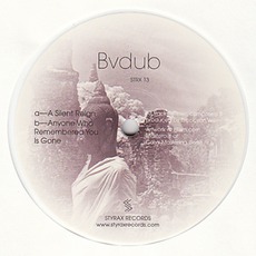 A Silent Reign mp3 Album by Bvdub