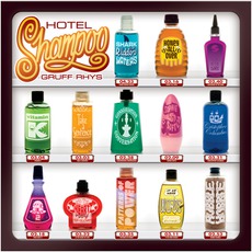 Hotel Shampoo mp3 Album by Gruff Rhys