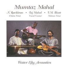 Mumtaz Mahal mp3 Album by Taj Mahal, Vishwa Mohan Bhatt And Narasimhan Ravikiran