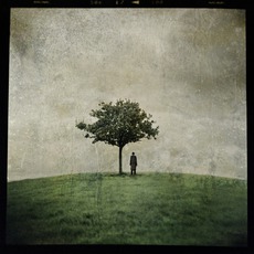 The Burial Tree (II) mp3 Album by Ana Kefr