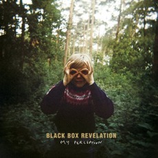 My Perception mp3 Album by The Black Box Revelation