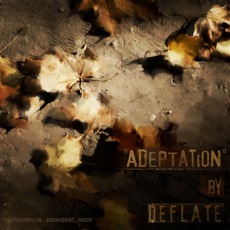 Adeptation mp3 Album by Deflate
