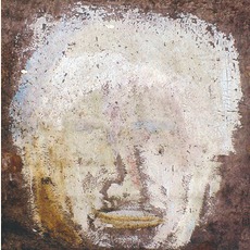 Boardface mp3 Album by Gotye