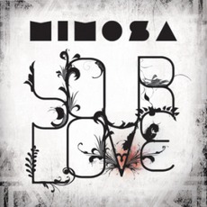 Your Love mp3 Single by Mimosa