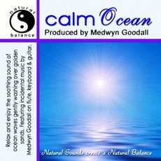 Calm Ocean mp3 Single by Medwyn Goodall