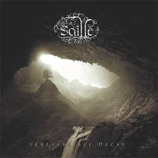Irreversible Decay mp3 Album by Saille