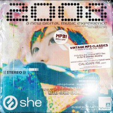 Chiptune Superstar mp3 Single by she