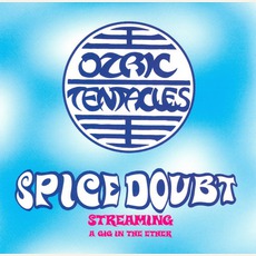 Spice Doubt mp3 Live by Ozric Tentacles