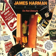 Do Not Disturb mp3 Album by James Harman Band