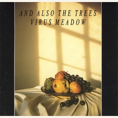 Virus Meadow mp3 Album by And Also The Trees