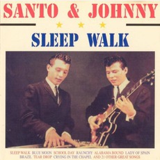 Sleep Walk mp3 Artist Compilation by Santo & Johnny