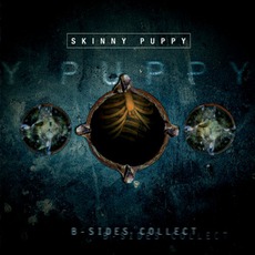 B-Sides Collect mp3 Artist Compilation by Skinny Puppy