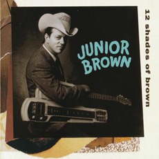 12 Shades Of Brown mp3 Album by Junior Brown