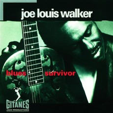 Blues Survivor mp3 Album by Joe Louis Walker