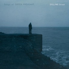 Gyllyng Street mp3 Album by Songs Of Green Pheasant