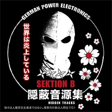 Hidden Tracks (Limited Edition) mp3 Album by Sektion B