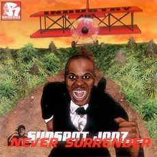 Never Surrender mp3 Album by Sunspot Jonz