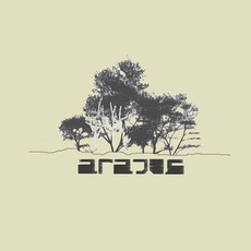 Flickering Lights, Atmospheric Waves EP mp3 Album by Arajua