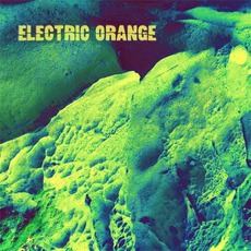 Netto mp3 Album by Electric Orange
