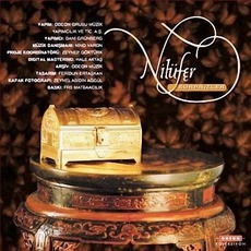 Sürprizler mp3 Album by Nilüfer