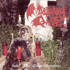 Into The Catachthonium mp3 Artist Compilation by Mortuary Drape