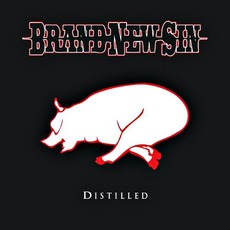 Distilled mp3 Album by Brand New Sin