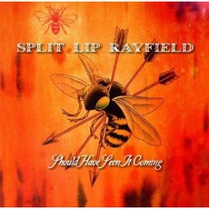 Should Have Seen It Coming mp3 Album by Split Lip Rayfield