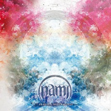 Fragile Alignments mp3 Album by Nami