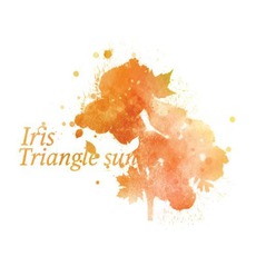 Iris mp3 Album by Triangle Sun