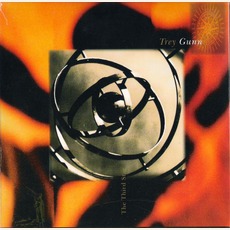 The Third Star mp3 Album by Trey Gunn
