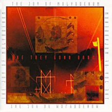 The Joy Of Molybdenum mp3 Album by The Trey Gunn Band