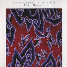 Echo Passage mp3 Album by Vidna Obmana & Alio Die