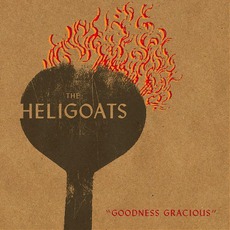 Goodness Gracious mp3 Album by The Heligoats