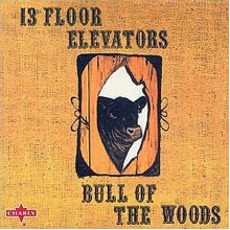 Bull Of The Woods (Remastered) mp3 Album by 13th Floor Elevators
