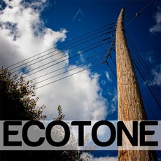 ECOTONE mp3 Album by Altus