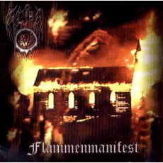 Flammenmanifest mp3 Album by Aeba