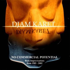 No Commercial Potential mp3 Album by Djam Karet
