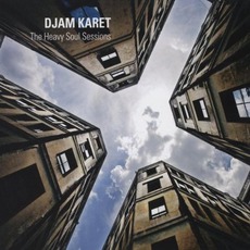 The Heavy Soul Sessions mp3 Album by Djam Karet