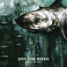 Shallow Bed mp3 Album by Dry The River